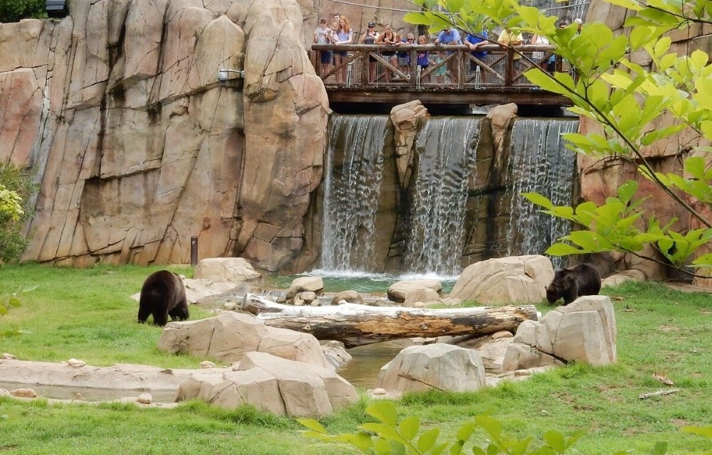 Memphis Zoo in Memphis Pictures